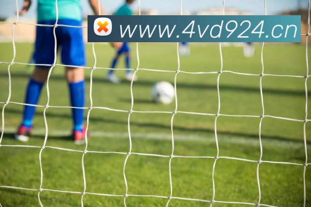 星空体育(中国)官网平台生态图